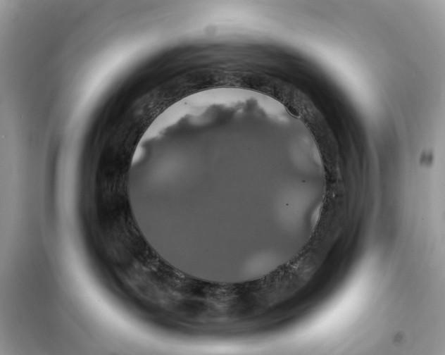 X0000099320143200805231433