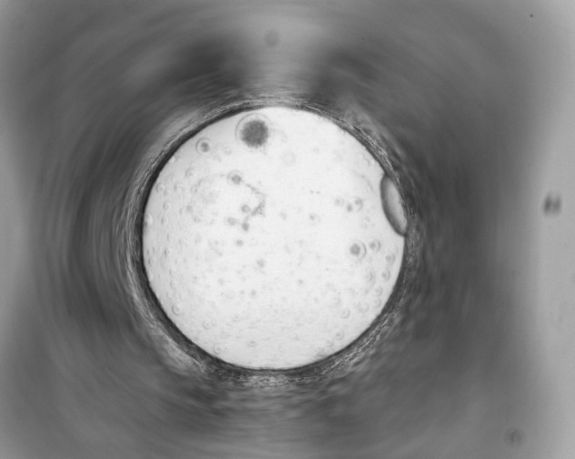 X0000099320145200805231432