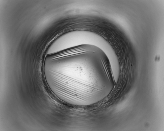 X0000099320146200805231432