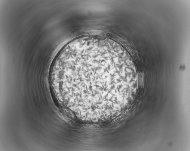 X0000099320147200805231432