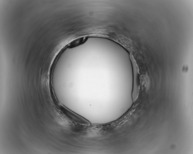 X0000099320148200805231432