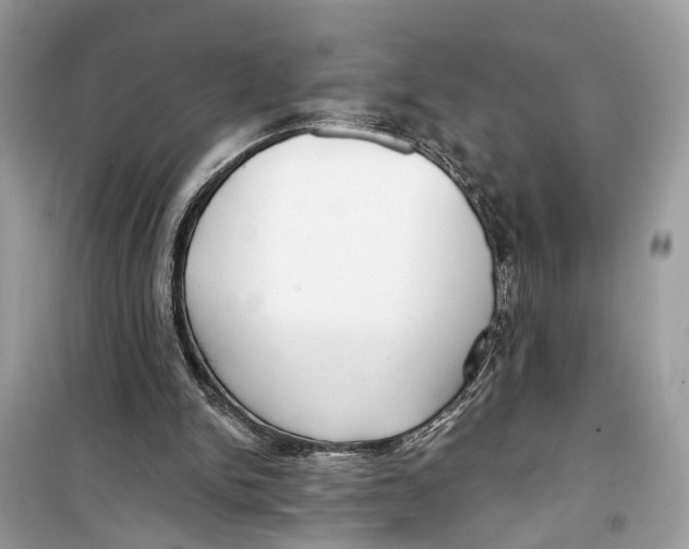 X0000099320150200805231432