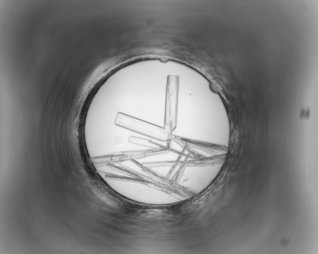 X0000099320151200805231432