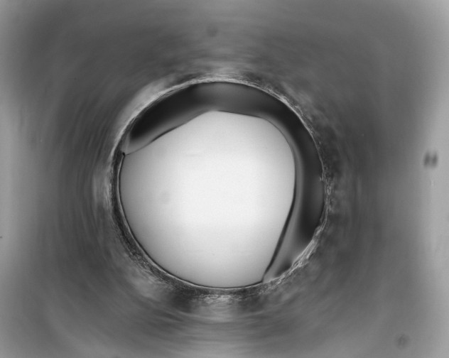 X0000099320152200805231432