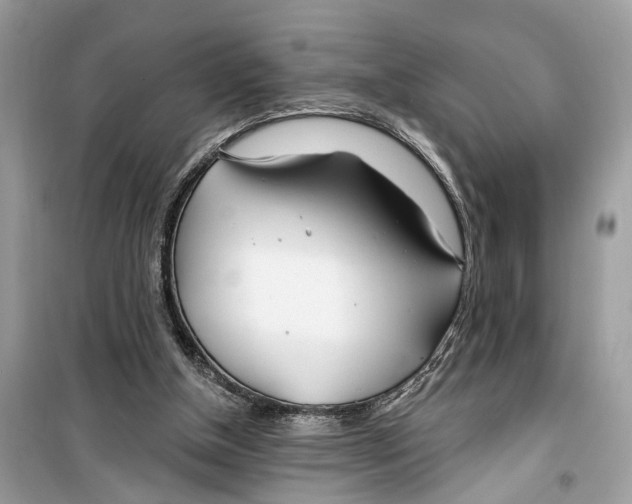 X0000099320154200805231432