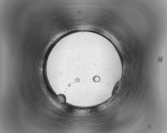 X0000099320155200805231432