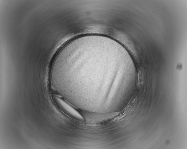 X0000099320156200805231432