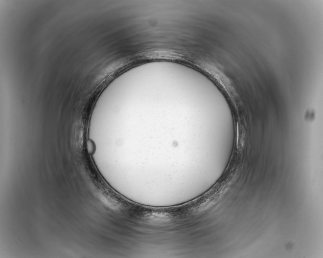 X0000099320157200805231432