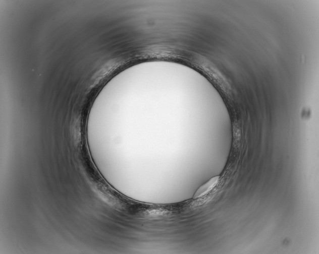 X0000099320158200805231432