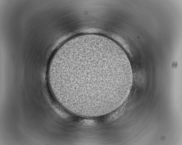 X0000099320159200805231432