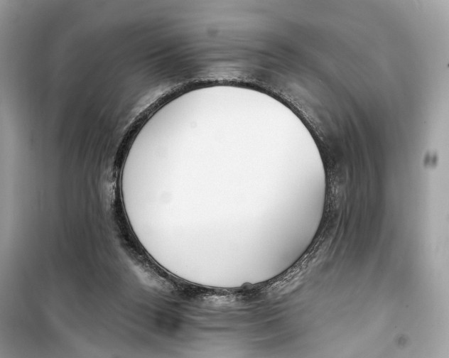 X0000099320160200805231432