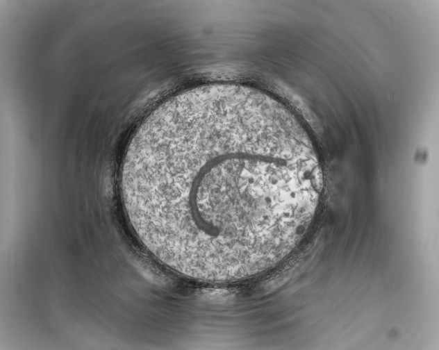 X0000099320161200805231432