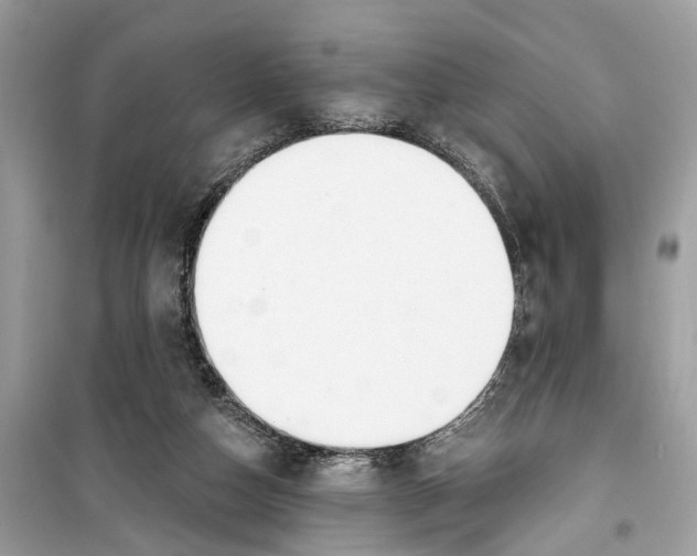 X0000099320162200805231432