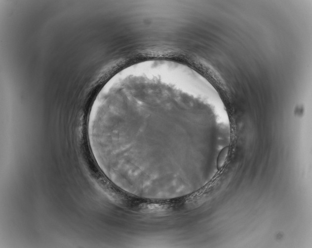 X0000099320163200805231432