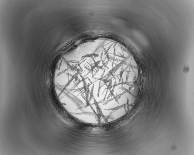 X0000099320165200805231432