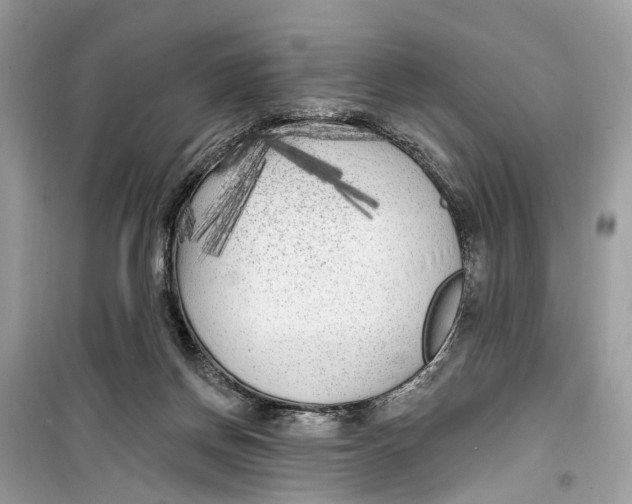 X0000099320166200805231433