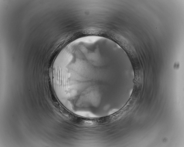 X0000099320167200805231433