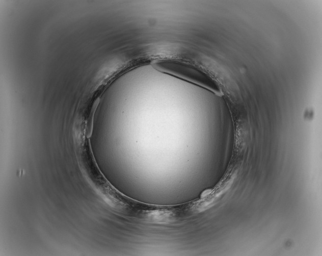 X0000099320168200805231433