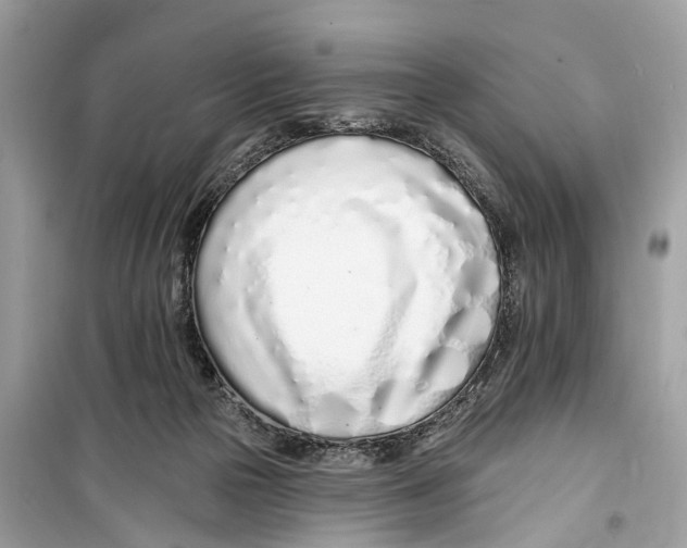 X0000099320169200805231433