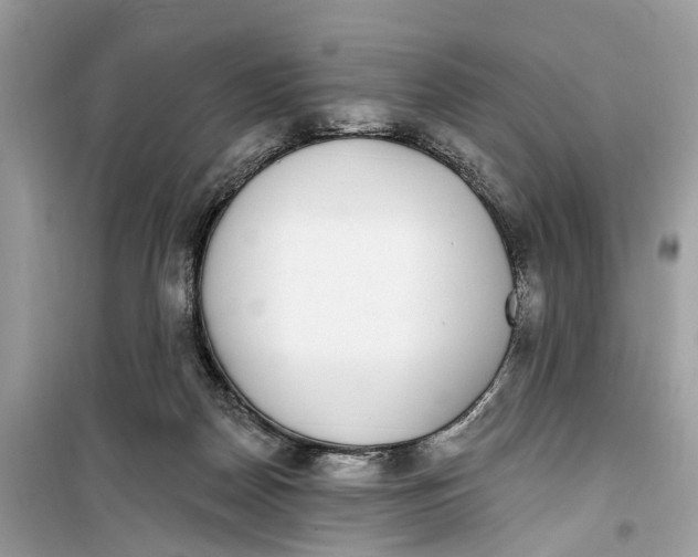 X0000099320170200805231433