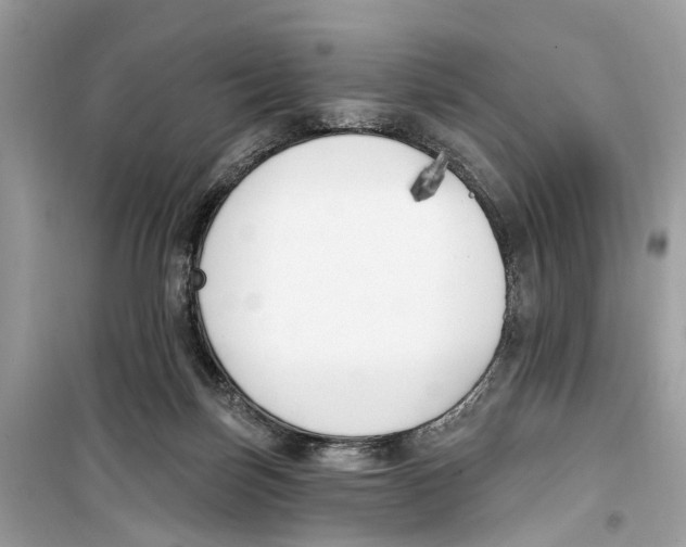 X0000099320171200805231433