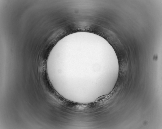 X0000099320172200805231433