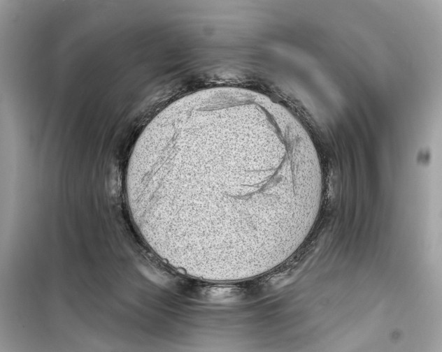 X0000099320173200805231433