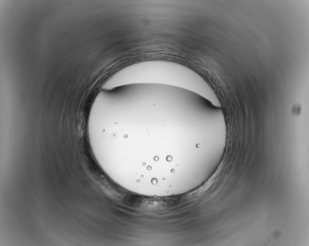 X0000099320174200805231433