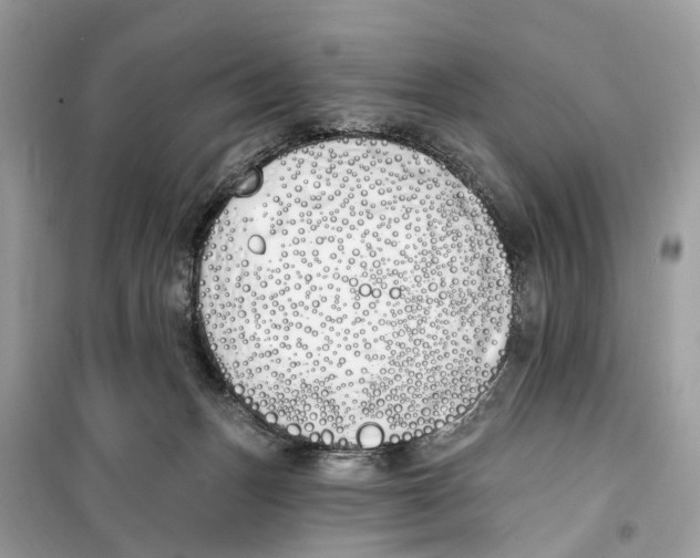 X0000099320175200805231433