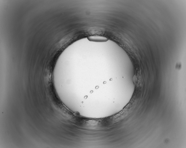 X0000099320176200805231433