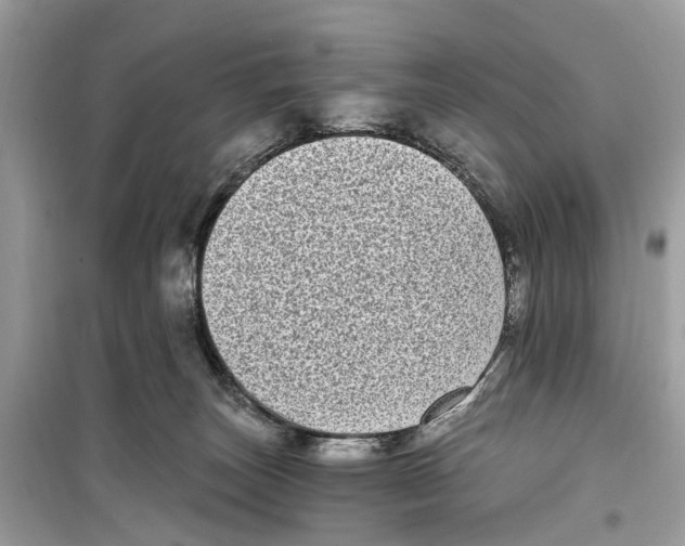 X0000099320179200805231433