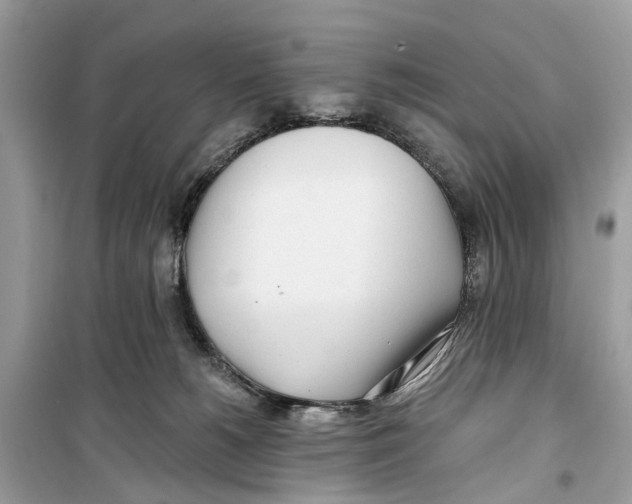 X0000099320180200805231433