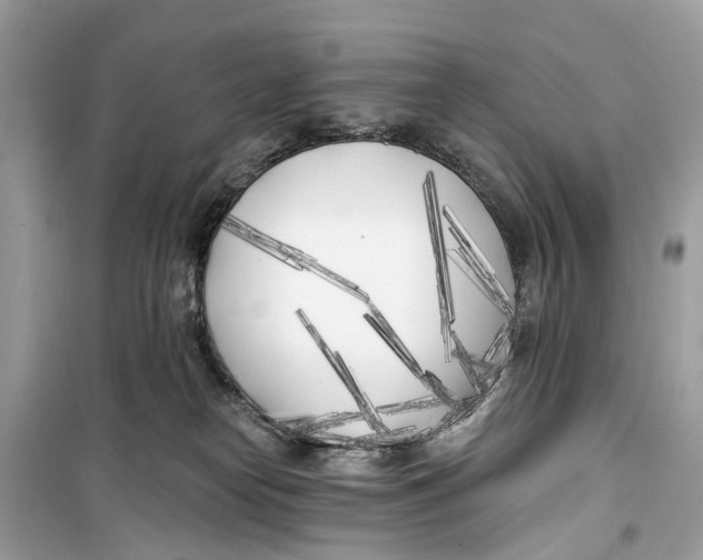 X0000099320182200805231433