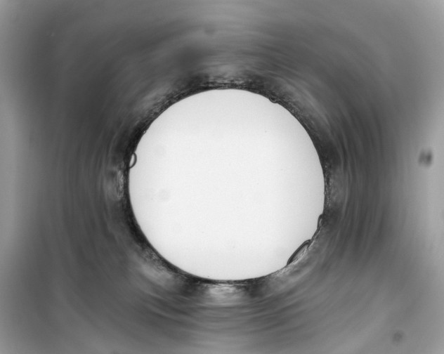 X0000099320183200805231433