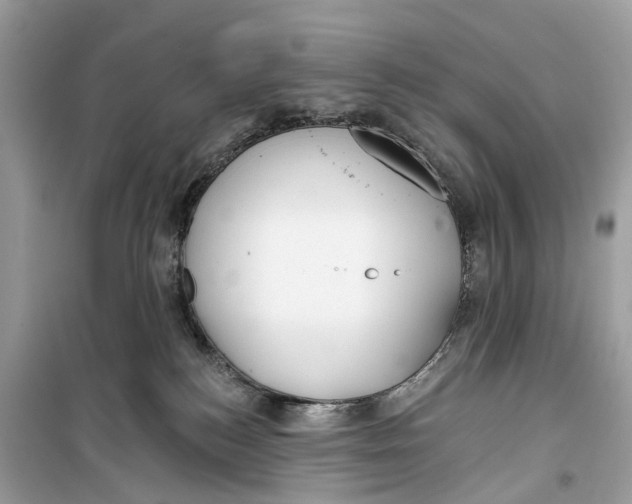 X0000099320184200805231433