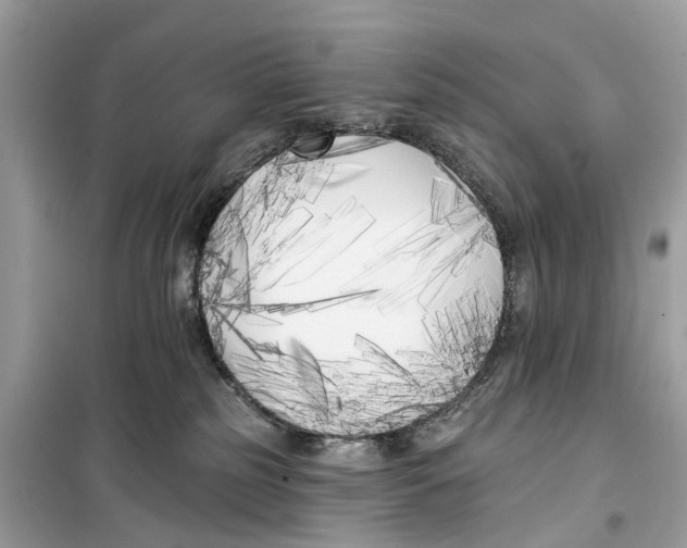 X0000099320185200805231433