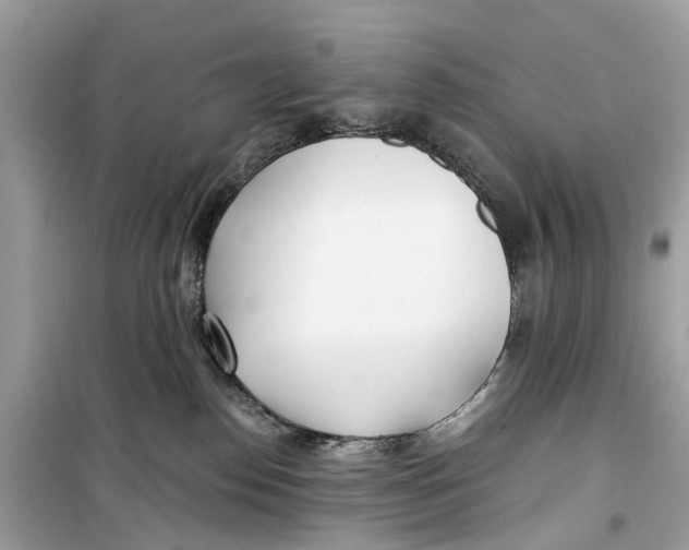 X0000099320186200805231433