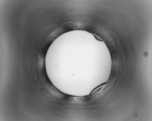 X0000099320188200805231433