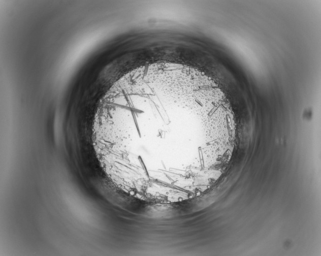 X0000099320189200805231433