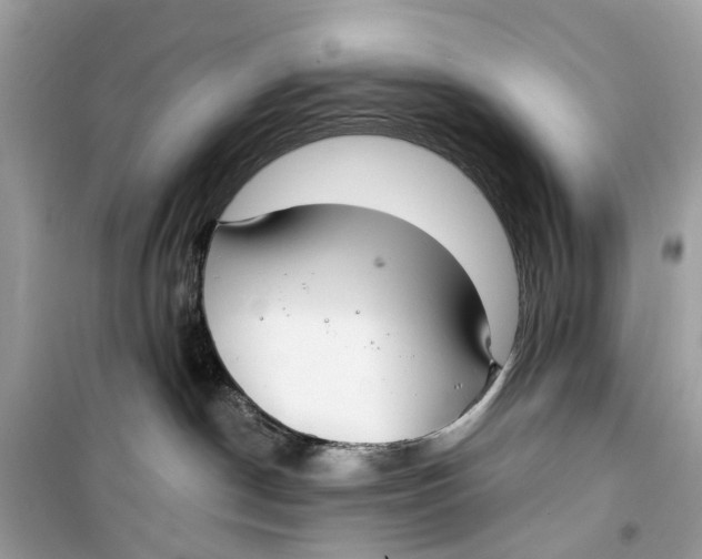 X0000099320190200805231433