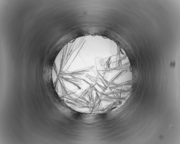 X0000099320191200805231433