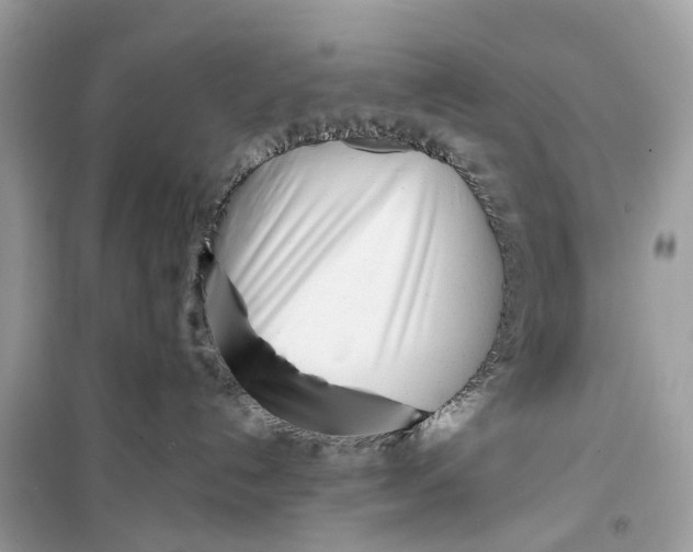 X0000099320192200805231433