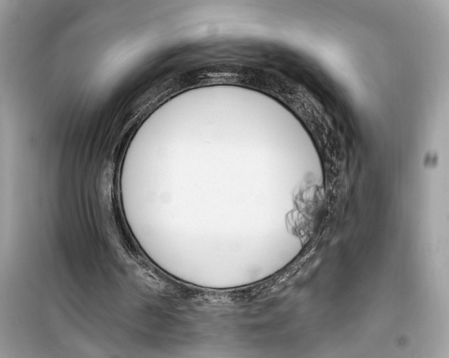 X0000099320194200805231432