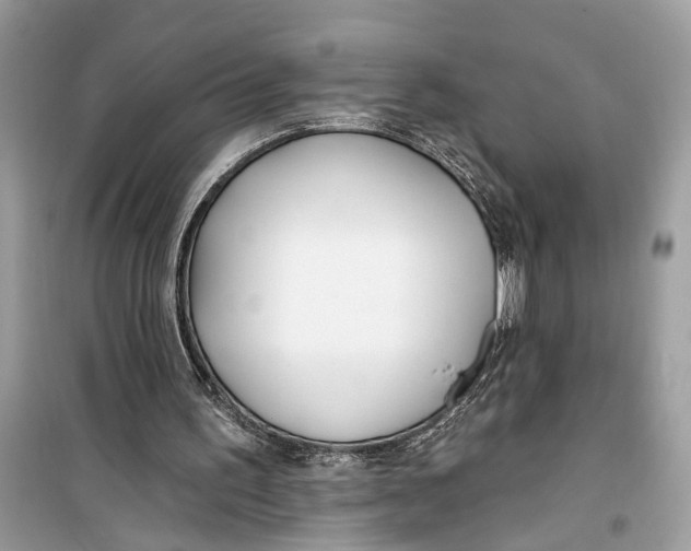 X0000099320195200805231432