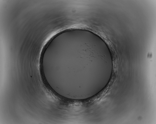 X0000099320196200805231432