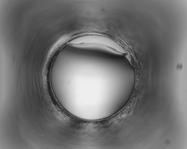 X0000099320197200805231432