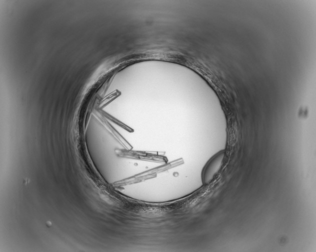 X0000099320198200805231432