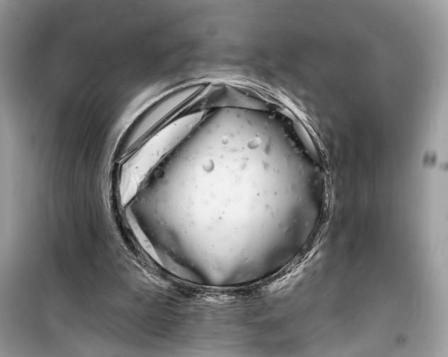 X0000099320199200805231432