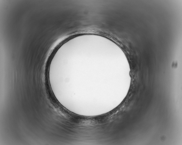 X0000099320200200805231432