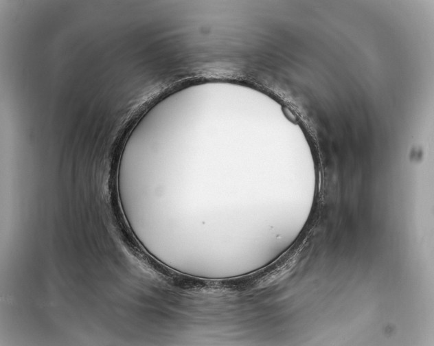 X0000099320201200805231432